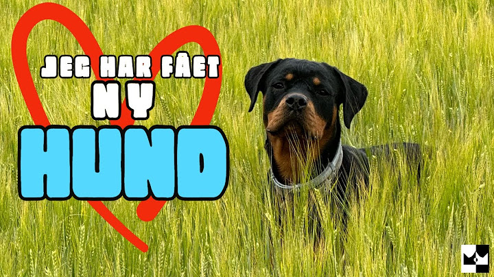 ProdigyDK giver mig en Hund!!!