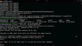 how to use docker to run mysql with phpmyadmin #docker