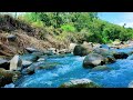 Let Nature Lull You to Sleep: The Calming Power of Sleep Sounds - Nature Sounds, Relaxing Sounds