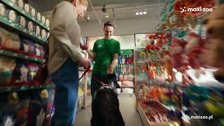 Nie zwlekaj. Już teraz zapewnij pupilowi ochronę przed pasożytami!