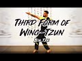 Mwta  third form of wingtzun  biu tze