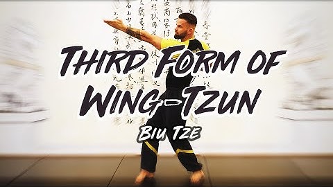 MWTA // Third Form Of Wing-Tzun - Biu Tze