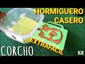 Hormiguero casero fácil de corcho tutorial como hacer hormiguero casero facil 2 - MUNDO HORMIGAS