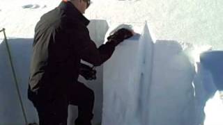 090118 Bj Ne Aspect Tl