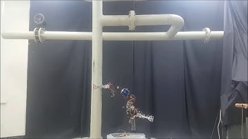 PiRoB: Pole Climbing Robot of KAERI