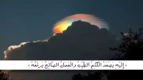 ماحافظ عبد على الأذكار 🌹