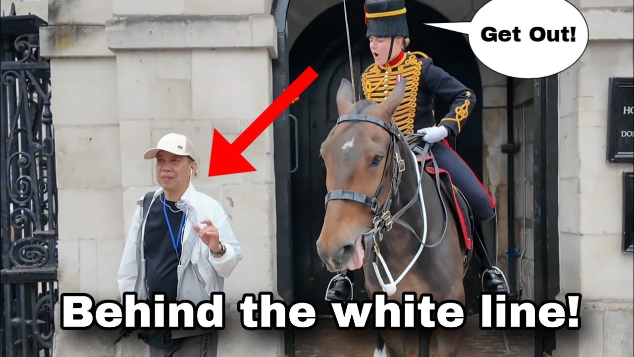 She moved the horse forward and told the tourist off out of the box!