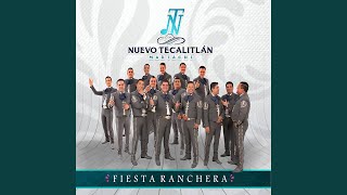 Video thumbnail of "Mariachi Nuevo Tecalitlán - Popurri Vicente Fernandez"