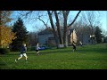 MLW Wiffle Ball- 2012 World Series Game 1