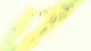 Acromaster FlyCamOne