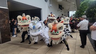 12 July 2024 - Lion Dance @Grandmaster William Kok Koon Sang Funeral