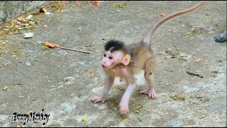 OMG..! Very cute baby Emoly is making her face at the humans.