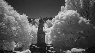 Testing D800 and B+W 830/093 IR Black Red Filter