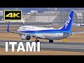 [4K] Plane Spotting at Osaka Itami Airport in Japan / 伊丹空港 JAL ANA / Fairport
