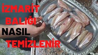 İzmarit Balığı Nasıl Temizlenir Resimi