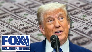 Former Trump economist issues warning over tariff payments