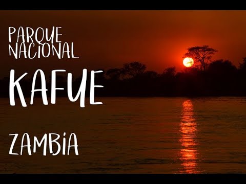 Parque Nacional Kafue, Zambia