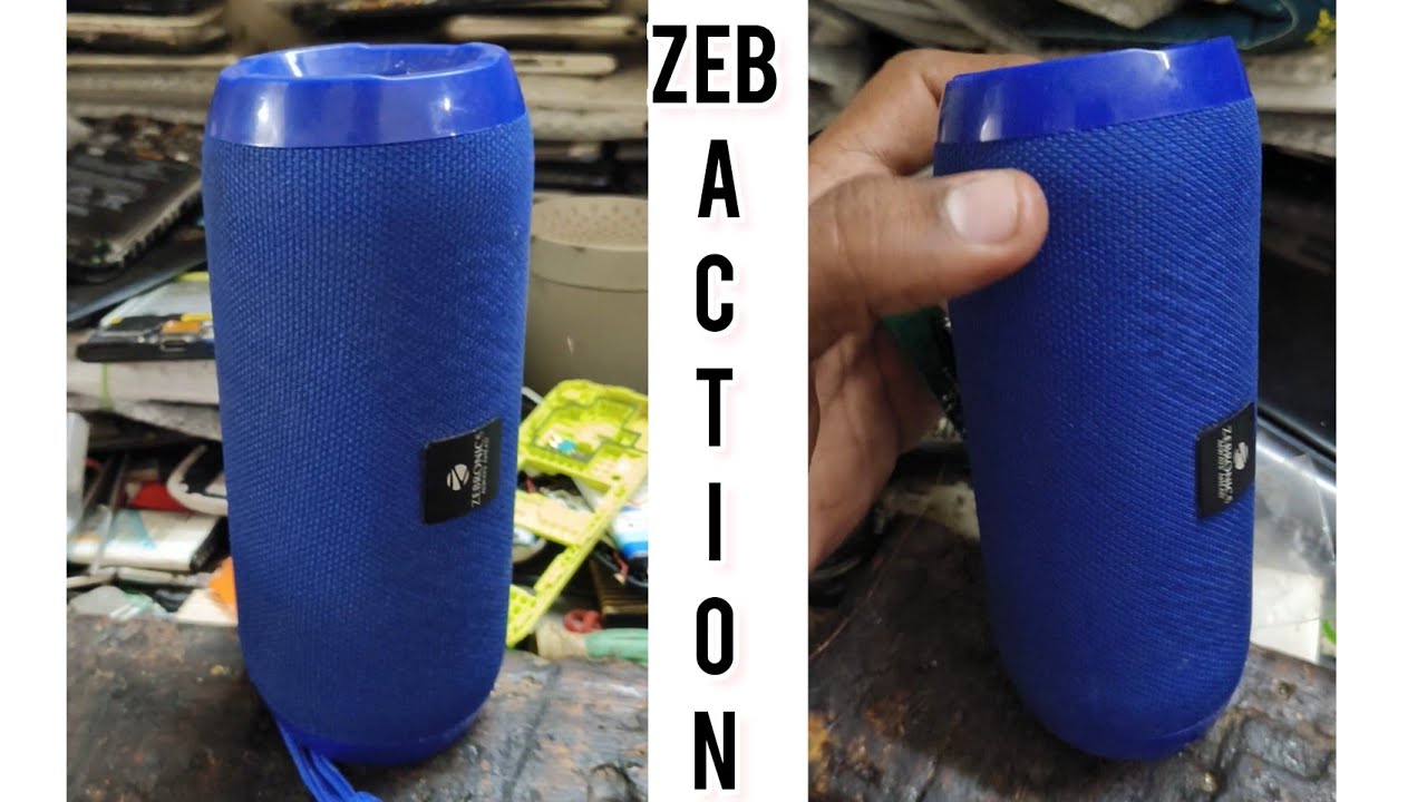 ZEBRONICS Zeb-Action Wireless 10W Portable Speake |Tamil|