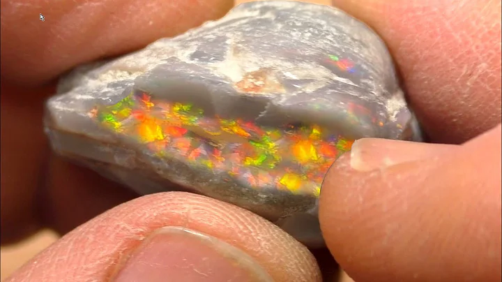 Opal Clam Challenge - CRUSHED IT!