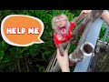 Monkey pupu was stuck and luckily his dad helped him