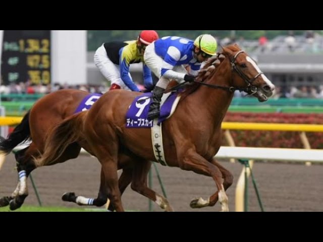 Pacuan Kuda Sha Tin Hong Kong Youtube