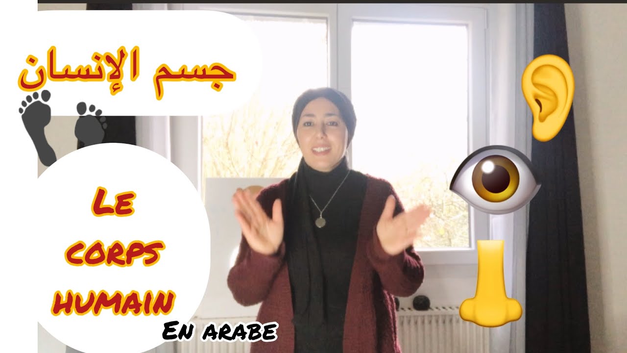 Le Corps Humain En Arabe YouTube le-corps-humain-en-arabe-youtube