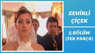 Zehirli Çiçek 5. Bölüm