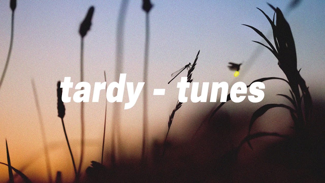 (Owl City) Fireflies // slowed