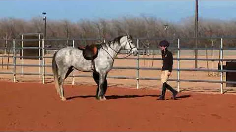 Horse Master with Julie Goodnight 212 Lost in Tran...