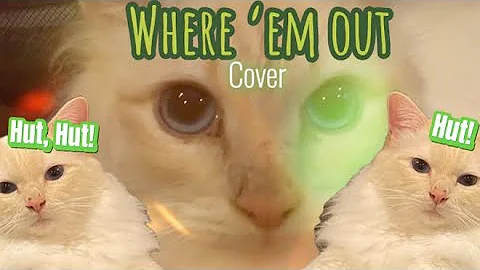 Watch the video about Birman kittens playing ball! “Where ‘em out” song cover ⚽️ #cats #playing #cute #birman #soccer