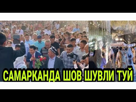 ШОВ ШУВЛИ ТУЙ