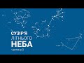 🔭 Сузір'я літнього неба. Частина 3. Козерог, Скорпіон та Стрілець