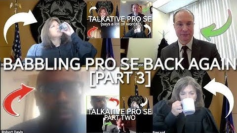 BABBLING pro se back again, nothing getting done again [PART 3]