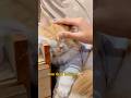 Better than humans❤️🩹 #cat #animals #petlove #loyalty #viralshorts #youtubeshorts #fyp #trending