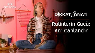 Rutinlerin Gücü: Anı Canlandır