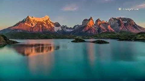 أرح قلبك | "سورة الملك" بصوت القارئ محمد المقيط