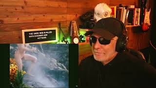 PROF - Dynamite  REACTION