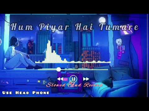 Hum Pyaar Hai Tumhare ❤😘 | Slowed And Reverb | Top Lofi Songs Kumar Sanu | #lofi #lofibeats #song