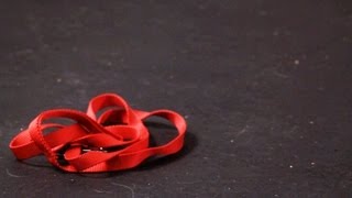 How to Teach Your Dog to Get the Leash | Dog Tricks screenshot 4