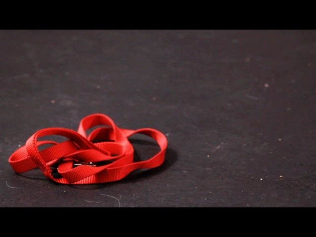How to Teach Your Dog to Get the Leash | Dog Tricks