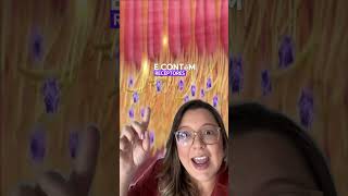 Como Funciona O Olfato