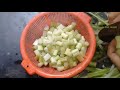 ❤ How To Cook Kachu Data Recipe With Dry Fish | Village Food Factory Youtube | Kachu Vegetable
