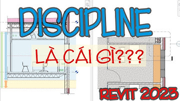 Discipline trong các View của Revit là gì?