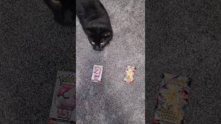 Pokemon 151 VS Ascended Heroes || Pack Battle Friday