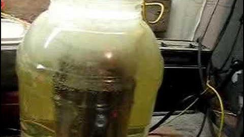 Hydro Lab (My Garage) #7