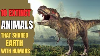 10 Extinct Animals That Shared Earth With Humans