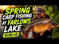 Spring Action At Farlows Lake 1 🎣🌷