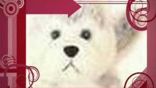 Rare and retired webkinz 2007