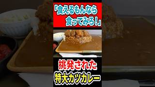 「食えるもんなら食ってみろ！」と挑発された特大カツカレー！ #mukbang #グルメ #はいじぃ #eatingtour