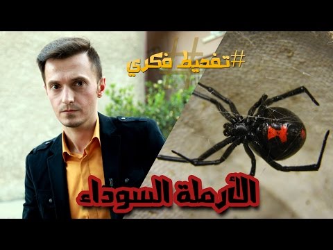 الأرملة السوداء تفحيط فكري Black Widow